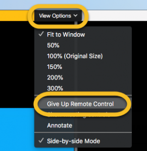 zoom remote desktop download